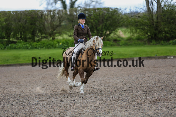 BDH-Point-to-Point-192