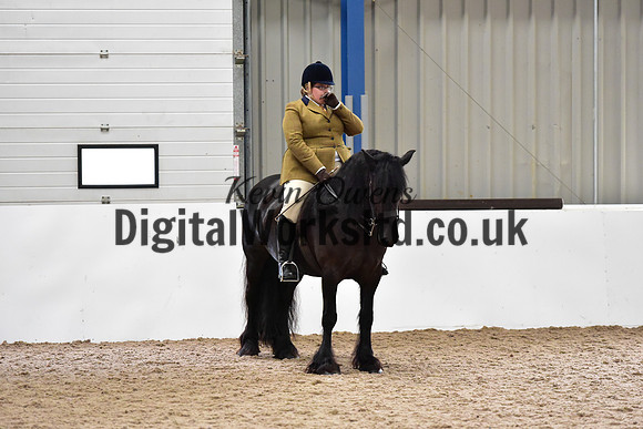NECWPCA-SUMMER-WELSH-SILVER-MEDAL-SHOW (157 of 325)