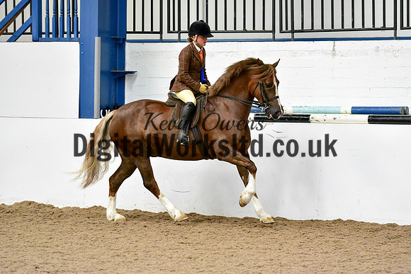 NECWPCA-SUMMER-WELSH-SILVER-MEDAL-SHOW (68 of 92)