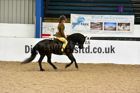 NECWPCA-SUMMER-WELSH-SILVER-MEDAL-SHOW (283 of 315)