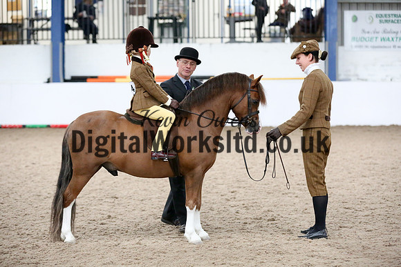 NECWPCA-SUMMER-WELSH-SILVER-MEDAL-SHOW (103 of 325)
