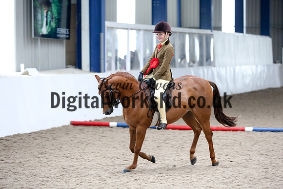 NECWPCA-SUMMER-WELSH-SILVER-MEDAL-SHOW (127 of 315)