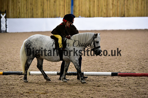 NECWPCA-SUMMER-WELSH-SILVER-MEDAL-SHOW (4 of 135)