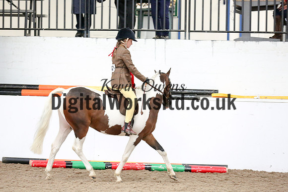 NECWPCA-SUMMER-WELSH-SILVER-MEDAL-SHOW (112 of 315)