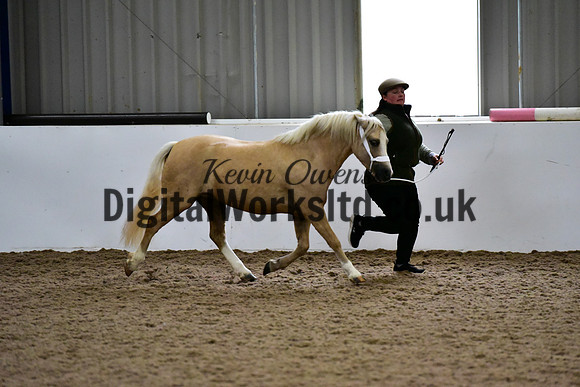 NECWPCA-SUMMER-WELSH-SILVER-MEDAL-SHOW (18 of 412)