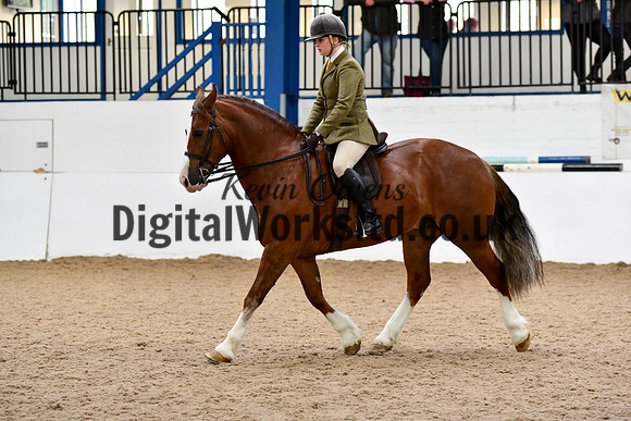NECWPCA-SUMMER-WELSH-SILVER-MEDAL-SHOW (13 of 92)