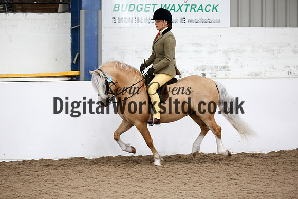 NECWPCA-SUMMER-WELSH-SILVER-MEDAL-SHOW (198 of 315)