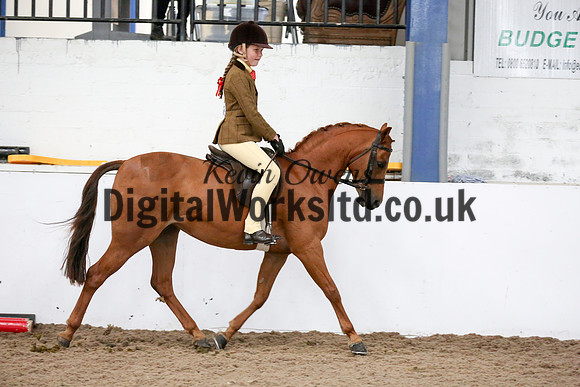 NECWPCA-SUMMER-WELSH-SILVER-MEDAL-SHOW (53 of 325)