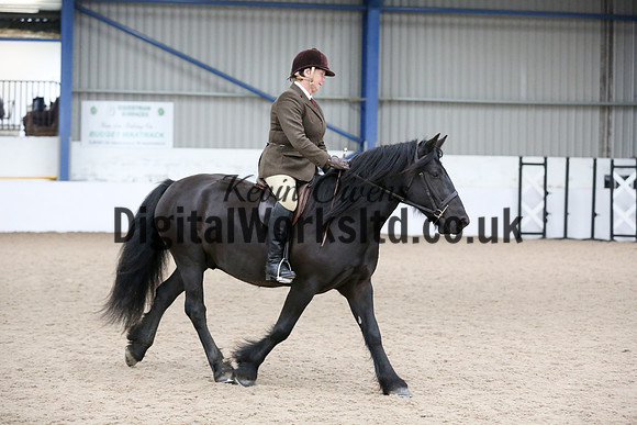 NECWPCA-SUMMER-WELSH-SILVER-MEDAL-SHOW (44 of 419)
