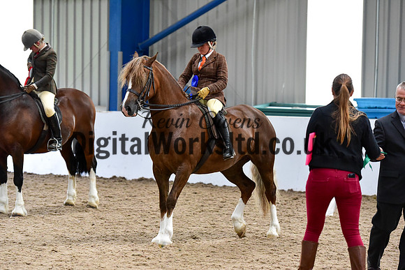 NECWPCA-SUMMER-WELSH-SILVER-MEDAL-SHOW (23 of 92)