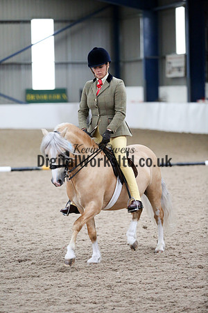 NECWPCA-SUMMER-WELSH-SILVER-MEDAL-SHOW (192 of 315)