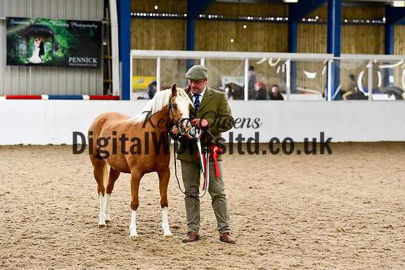 NECWPCA-SUMMER-WELSH-SILVER-MEDAL-SHOW (2 of 162)