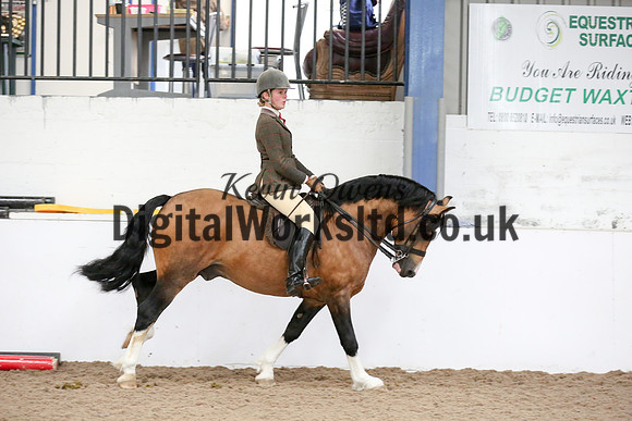 NECWPCA-SUMMER-WELSH-SILVER-MEDAL-SHOW (275 of 315)