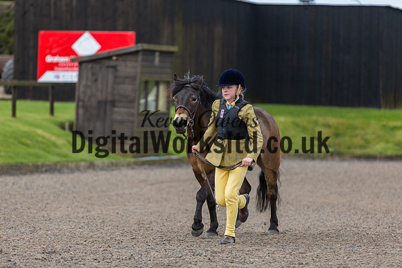 BDH-Point-to-Point-3