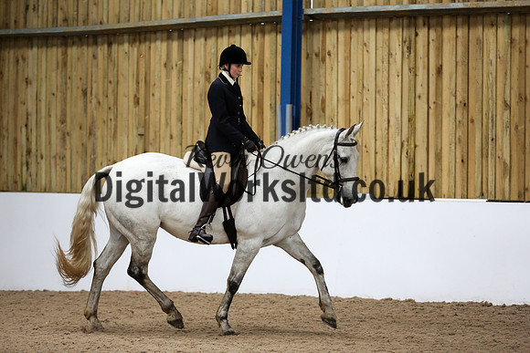 NECWPCA-SUMMER-WELSH-SILVER-MEDAL-SHOW (29 of 315)