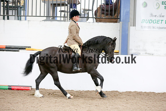 NECWPCA-SUMMER-WELSH-SILVER-MEDAL-SHOW (267 of 315)