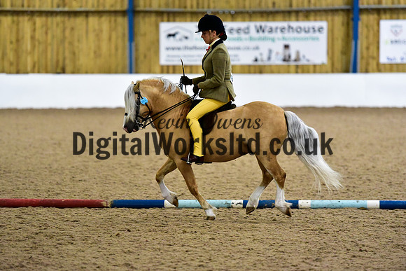 NECWPCA-SUMMER-WELSH-SILVER-MEDAL-SHOW (82 of 325)