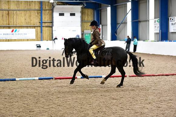 NECWPCA-SUMMER-WELSH-SILVER-MEDAL-SHOW (18 of 315)