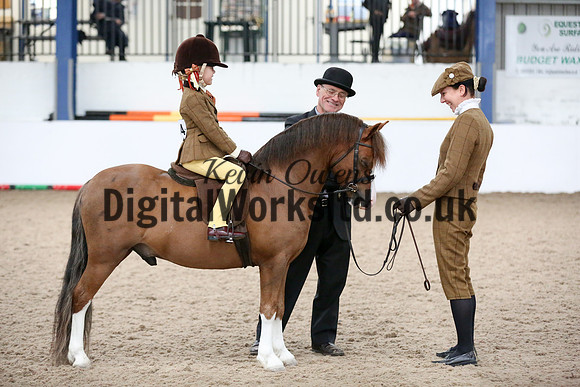 NECWPCA-SUMMER-WELSH-SILVER-MEDAL-SHOW (104 of 325)