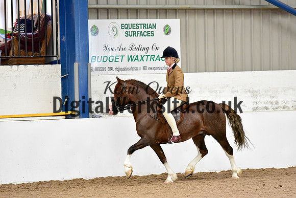 NECWPCA-SUMMER-WELSH-SILVER-MEDAL-SHOW (47 of 92)