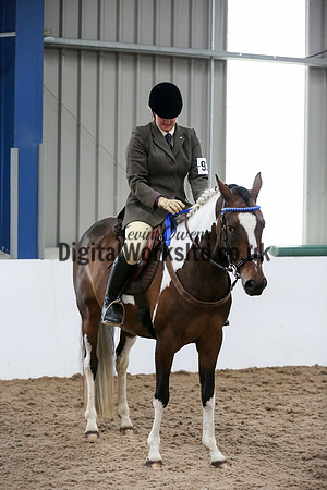 NECWPCA-SUMMER-WELSH-SILVER-MEDAL-SHOW (13 of 419)