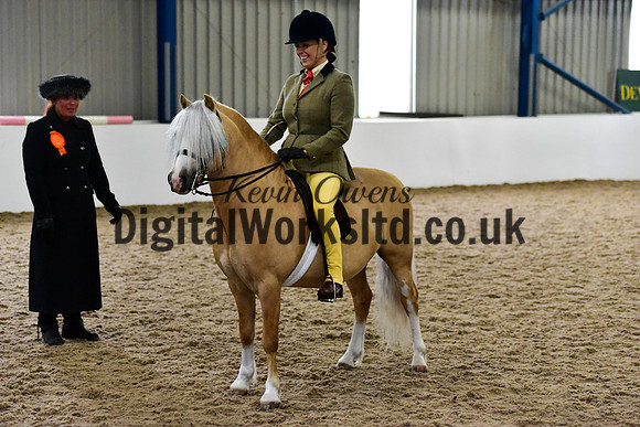 NECWPCA-SUMMER-WELSH-SILVER-MEDAL-SHOW (83 of 325)
