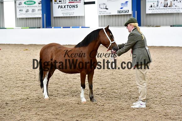 NECWPCA-SUMMER-WELSH-SILVER-MEDAL-SHOW (2 of 46)