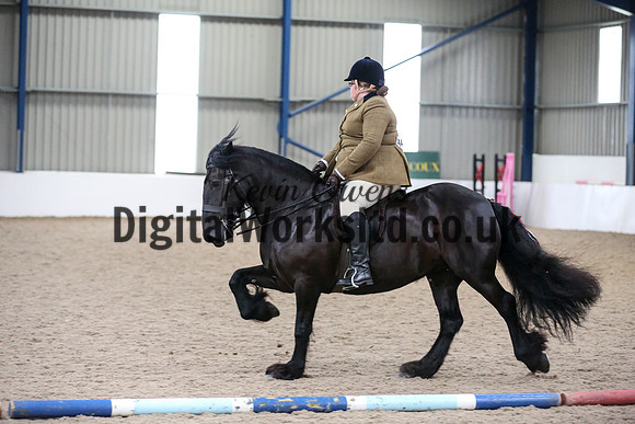 NECWPCA-SUMMER-WELSH-SILVER-MEDAL-SHOW (133 of 325)