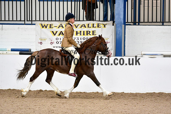 NECWPCA-SUMMER-WELSH-SILVER-MEDAL-SHOW (53 of 92)