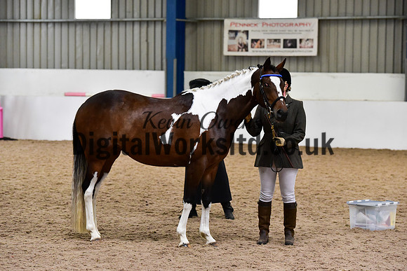 NECWPCA-SUMMER-WELSH-SILVER-MEDAL-SHOW (32 of 150)