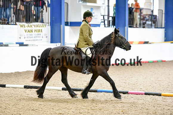 NECWPCA-SUMMER-WELSH-SILVER-MEDAL-SHOW (164 of 315)