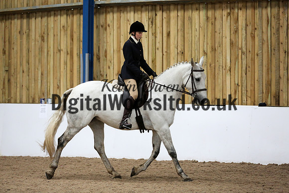 NECWPCA-SUMMER-WELSH-SILVER-MEDAL-SHOW (31 of 315)
