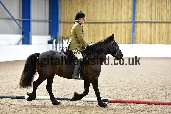 NECWPCA-SUMMER-WELSH-SILVER-MEDAL-SHOW (165 of 315)