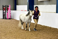 NECWPCA-SUMMER-WELSH-SILVER-MEDAL-SHOW (10 of 412)