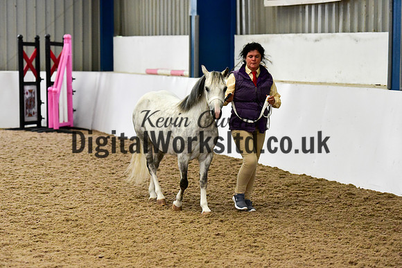 NECWPCA-SUMMER-WELSH-SILVER-MEDAL-SHOW (10 of 412)