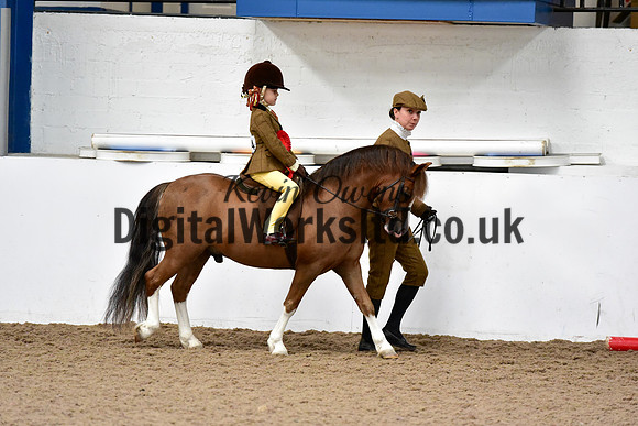 NECWPCA-SUMMER-WELSH-SILVER-MEDAL-SHOW (58 of 92)