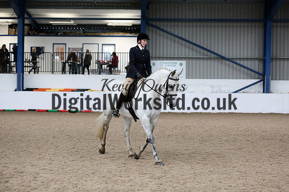 NECWPCA-SUMMER-WELSH-SILVER-MEDAL-SHOW (53 of 315)