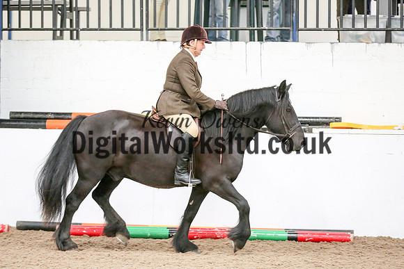 NECWPCA-SUMMER-WELSH-SILVER-MEDAL-SHOW (35 of 419)
