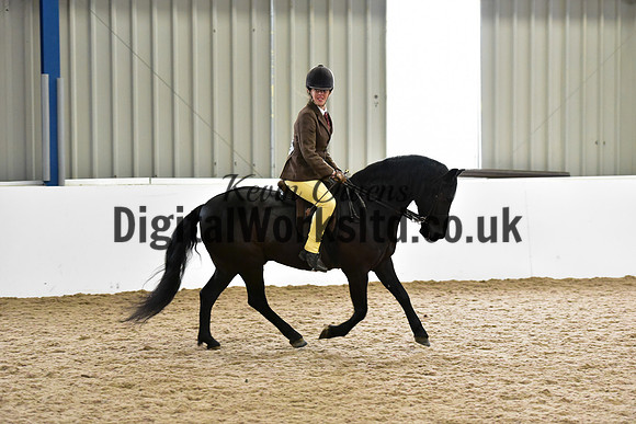 NECWPCA-SUMMER-WELSH-SILVER-MEDAL-SHOW (145 of 315)