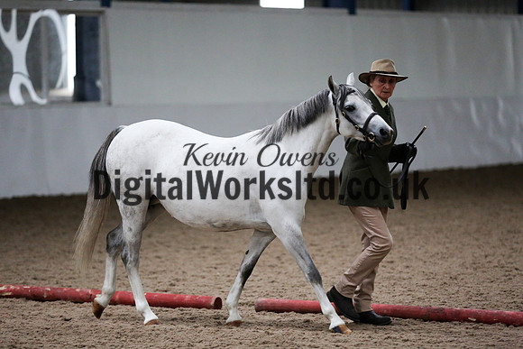 NECWPCA-SUMMER-WELSH-SILVER-MEDAL-SHOW (8 of 427)