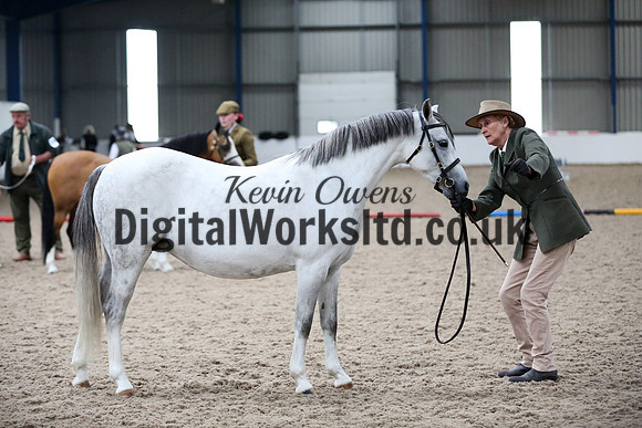 NECWPCA-SUMMER-WELSH-SILVER-MEDAL-SHOW (45 of 427)