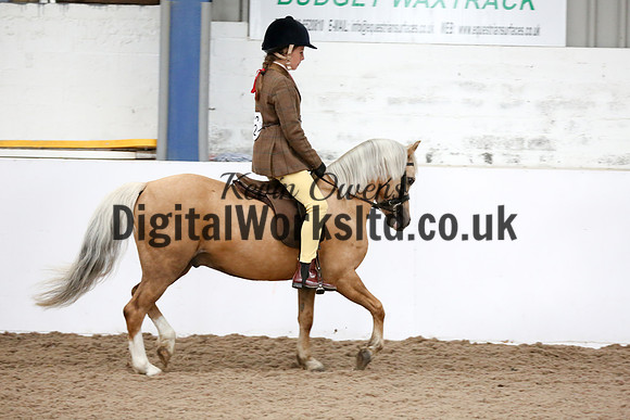NECWPCA-SUMMER-WELSH-SILVER-MEDAL-SHOW (32 of 325)