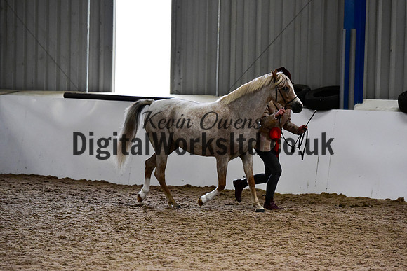 NECWPCA-SUMMER-WELSH-SILVER-MEDAL-SHOW (7 of 91)