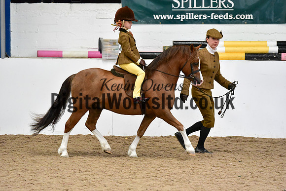 NECWPCA-SUMMER-WELSH-SILVER-MEDAL-SHOW (11 of 120)
