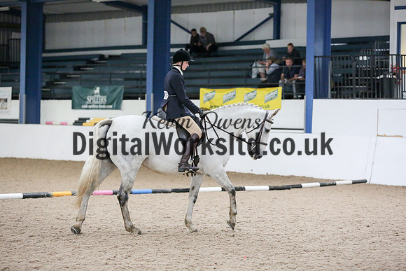 NECWPCA-SUMMER-WELSH-SILVER-MEDAL-SHOW (20 of 315)