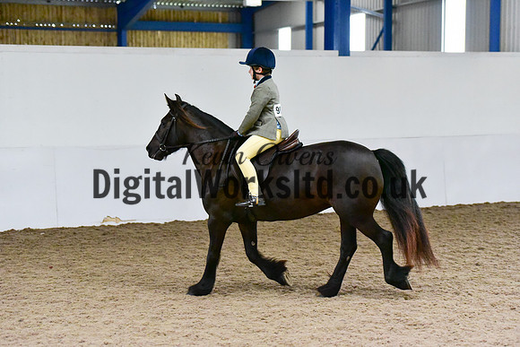 NECWPCA-SUMMER-WELSH-SILVER-MEDAL-SHOW (85 of 419)