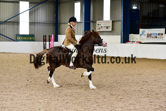 NECWPCA-SUMMER-WELSH-SILVER-MEDAL-SHOW (50 of 92)