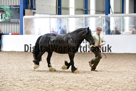 NECWPCA-SUMMER-WELSH-SILVER-MEDAL-SHOW (5 of 150)