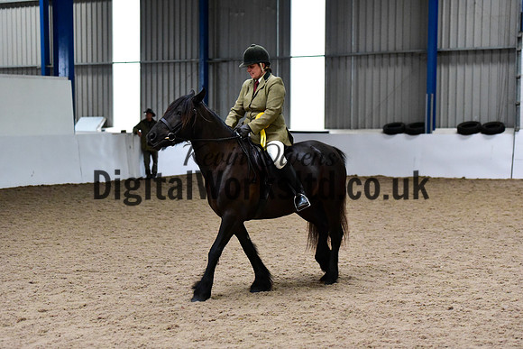 NECWPCA-SUMMER-WELSH-SILVER-MEDAL-SHOW (272 of 315)