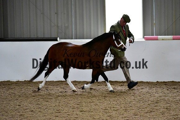 NECWPCA-SUMMER-WELSH-SILVER-MEDAL-SHOW (22 of 412)